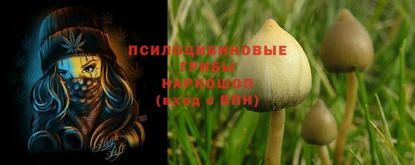a pvp Алексеевка