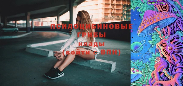 PSILOCYBIN Алзамай