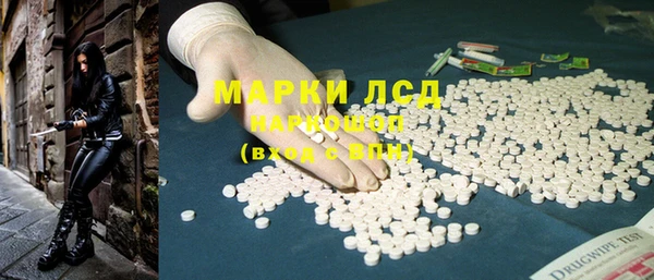 PSILOCYBIN Алзамай