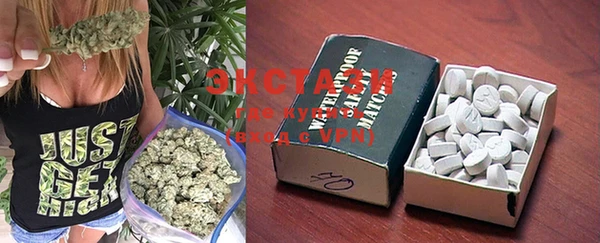 PSILOCYBIN Алзамай