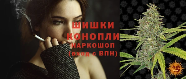 PSILOCYBIN Алзамай
