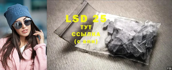 PSILOCYBIN Алзамай