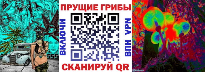 Галлюциногенные грибы прущие грибы Макушино